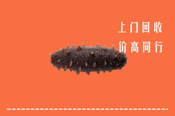 凤冈县回收海参