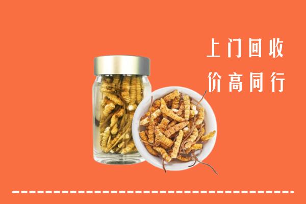 凤冈县回收冬虫夏草
